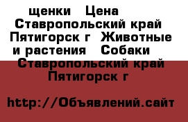 щенки › Цена ­ 10 - Ставропольский край, Пятигорск г. Животные и растения » Собаки   . Ставропольский край,Пятигорск г.